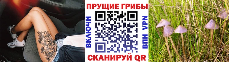 Галлюциногенные грибы ЛСД  Анжеро-Судженск 